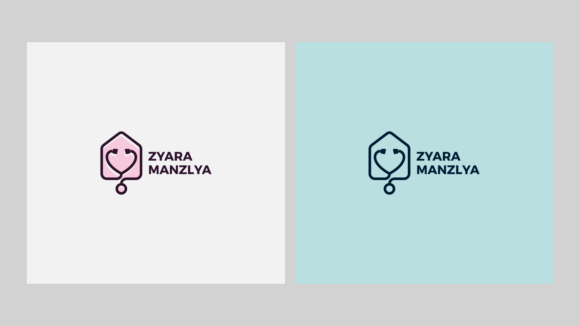 Zyara Manzlya